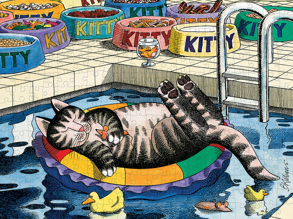 PoolCat Puzzle