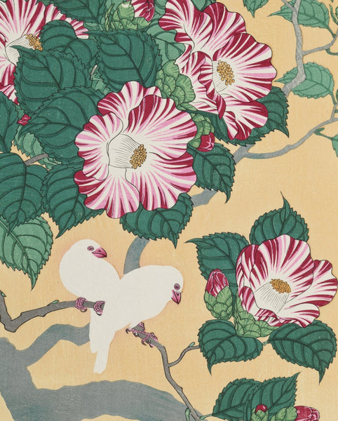 Ohara Shōson Small Boxed Notes