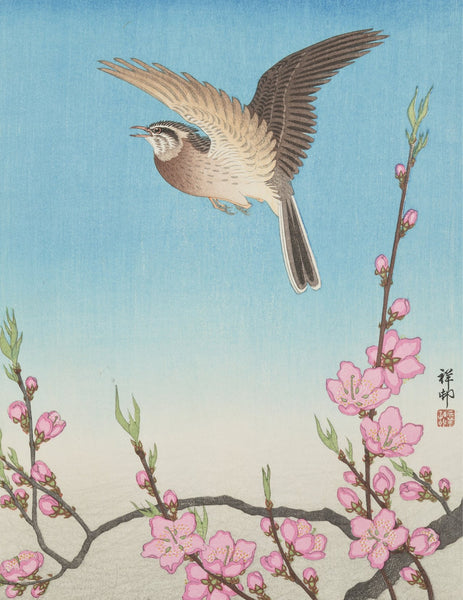 Ohara Shōson Small Boxed Notes
