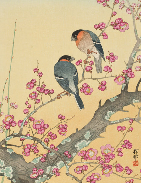 Ohara Shōson Small Boxed Notes