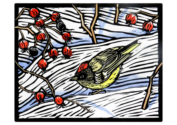 Molly Hashimoto Winter Birds Holiday Boxed Notes