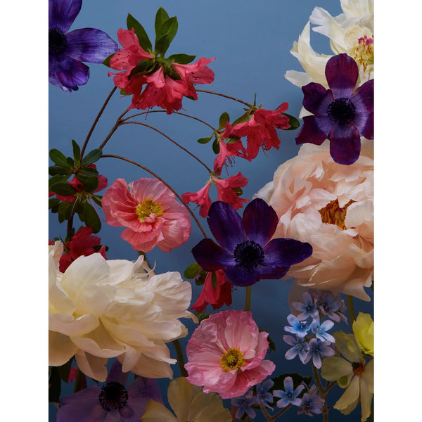Floral Photography Keepsake Boxed Notes