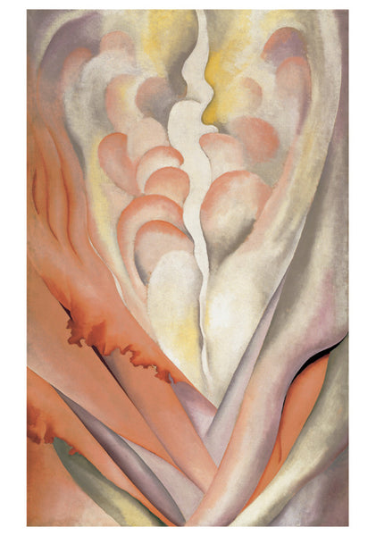 Georgia O’Keeffe Abstract Flowers Boxed Notes