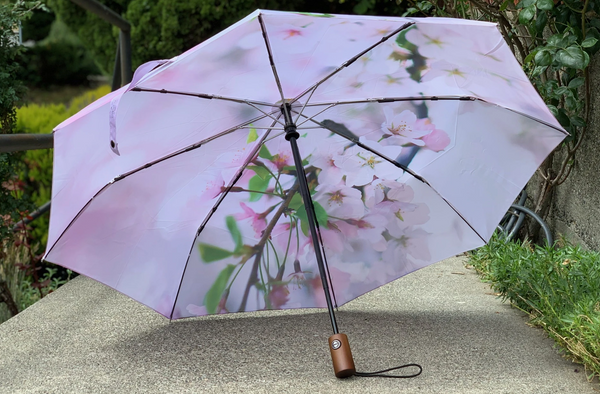 Cherry Blossom Umbrella
