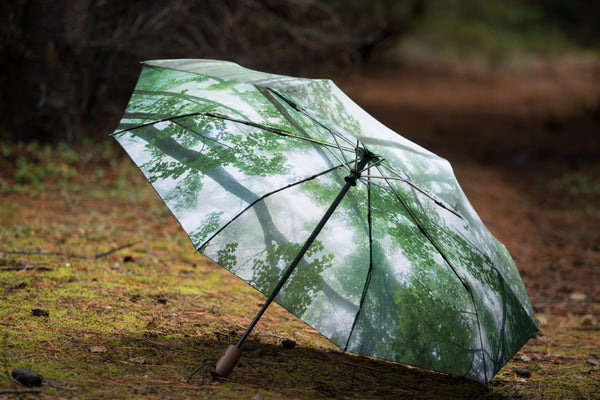 Misty Woods Umbrella