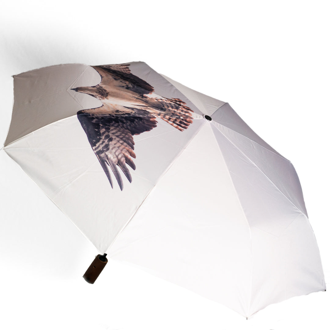Osprey Umbrella