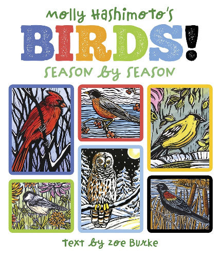 Molly Hashimoto’s Birds: Season By Season