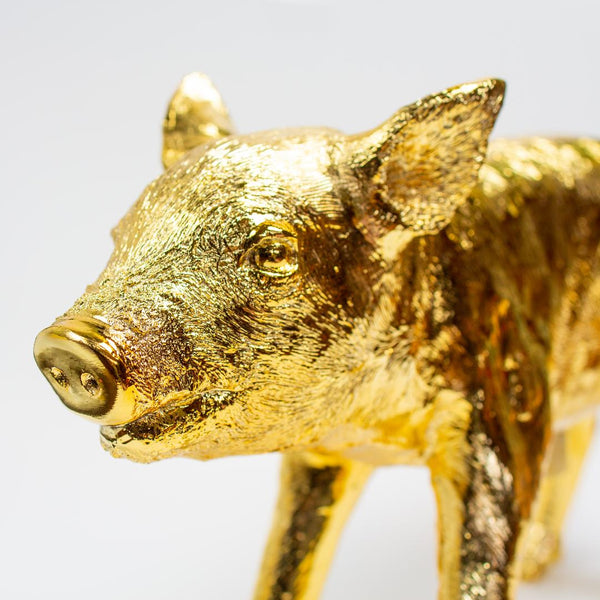 Bank In the Form of a Pig